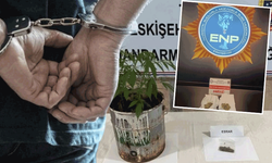 Eskişehir’de zehir ticaretine operasyon: 13 gözaltı