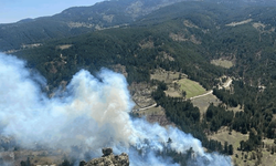 Kütahya'da orman yangını: 2 hektarlık alan kül oldu