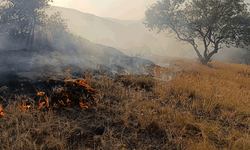 Afyon'da ormanlık alanda çıkan yangına itfaiye ekipleri müdahale etti