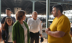 Ayşe Ünlüce: Eskişehir’e modern mezbaha bu dönem hedefleniyor