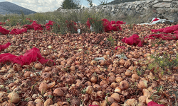 Afyon'da 2 ton kuru soğanı boş araziye döktüler