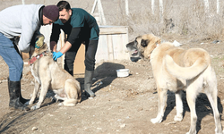 Büyükşehir’den Sivrihisar'dan sonra Mihalıççık'ta çalışma