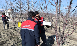 Afyon'da hasat verimini artırma seferberliği
