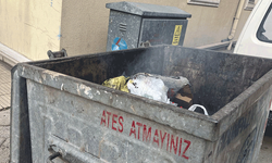 Eskişehir’de çöp konteynerında çıkan yangın tehlike yarattı
