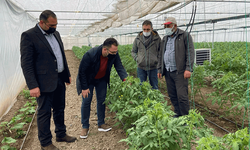 Eskişehir ve 4 ildeki proje ile seracılıkta maliyeti 5'te 1'e düşüren çalışma