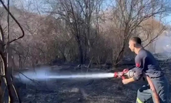 Kütahya Emet'te ot yangını
