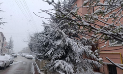 Afyon nisan ayında kış mevsimini yaşadı