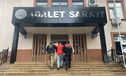 Bilecik'te sahte vali yardımcısı yakalandı