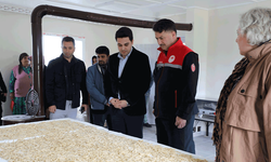 Eskişehir’de 9 milyonluk yatırımla başlayan proje büyüyor