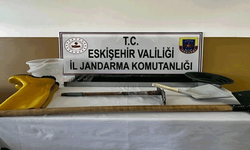 Eskişehir'de kaçak kazıya jandarmadan baskın