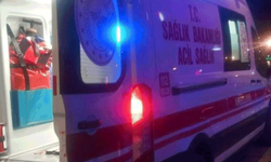 Bilecik'te telefonla konuşan kadının üstüne yıldırım düştü