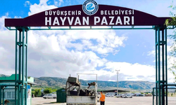 Eskişehir’de Hayvan Pazarı için fiyatlar belli oldu