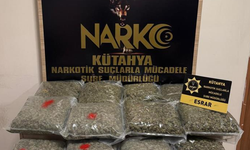 Kütahya'da zehirli madde operasyonu, 15 kilo 840 gram esrar ele geçirildi