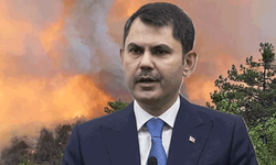 Bakan Kurum açıkladı: Bilecik yangınında acı bilanço