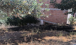 Bilecik'te  temizlik amaçlı yakılan otlar kontrolden çıktı