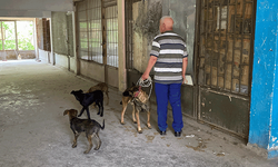 Eskişehir’de bir depoda 15 gün boyunca 6 köpek aç ve susuz kaldı