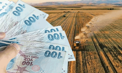 Eskişehirli çiftçiler müjde! 66 milyon TL destek yolda