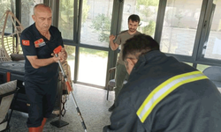 Afyon'da şehir merkezinde ortaya çıkan yılanlar paniğe neden oldu