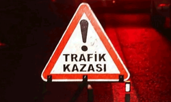 Afyon'da trafik kazası: Otomobil kontrolden çıktı