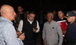 Bilecik Valisi Sözer, yangın bölgesinde yakın takipte