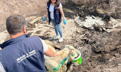 Bilecik'te acı bilanço ortaya çıktı