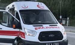 Bilecik'te sürücü kontrolünü kaybetti