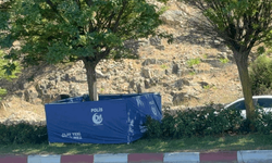 Eskişehir- Bilecik yolunda motosiklet sürücüsü virajı alamadı: 1 ölü 1 yaralı