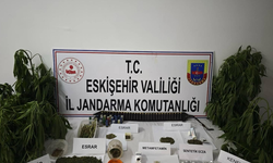Eskişehir’de kenevir baskını: Uyuşturucu ve av tüfekleri ele geçirildi