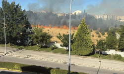 Eskişehir'de parktaki yangın endişeye yol açtı