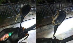 Kütahya'da park halindeki motosiklette yılan paniği