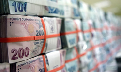 2024’ün vergi rekortmenleri açıklandı: Eskişehir’den iki isim var