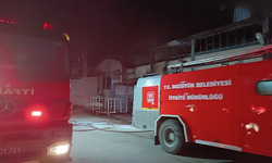 Bilecik'te fabrika yangını