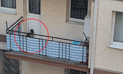 Eskişehir’deki ihbar polisi alarma geçirdi: Sosyal medyada tepki çeken görüntü