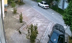 Kütahya'da depremi hisseden kedi kameralara yansıdı