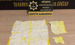 Kütahya'da madde operasyonu: 7 bin 952 içimlik bonzai ele geçirdi