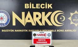 Bilecik'te yasaklı madde operasyonu: 2 gözaltı