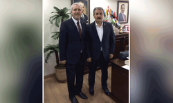 Destici’nin ağabeyi hayatını kaybetti