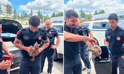 Eskişehir'de motor bölümüne sıkışan kediyi itfaiye ekipleri kurtardı