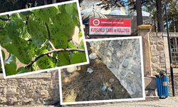 500 yıllık Kurşunlu Külliyesi bakımsızlığa terk edildi