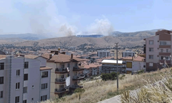 Afyonkarahisar'da otluk alanda çıkan yangına havadan ve karadan müdahale sürüyor