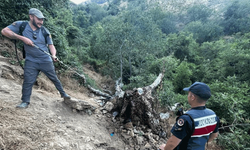 Bilecik'te  ağaç yangını korkuttu
