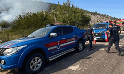 Bilecik'te elektrik direğinden çıkan kıvılcım orman yangınına sebep oldu