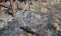 Bilecik'teki orman yangını kontrol altına alındı