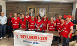 DİSK Dev Emekli-Sen Eskişehir Şubesi'nden emekli maaşları için çağrı
