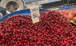 Eskişehir’de meyve ucuzladı, pazarın yüzü gülmedi!