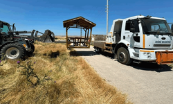 İnönü Belediyesi'nden park ve sosyal alanlara kamelya desteği