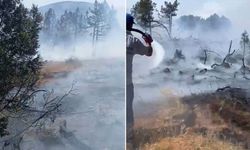 Kütahya'da orman yangını: Ekipler havadan ve karadan müdahale ediyor