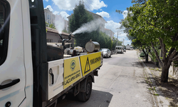 Odunpazarı Belediyesi ilaçlama çalışmalarına devam ediyor