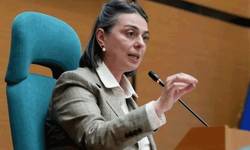Sinem Dedetaş tutuklama talebiyle hakimliğe sevk edildi