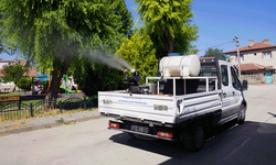 Tepebaşı'nda ulv ilaçlama çalışmaları aralıksız sürüyor